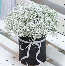 Цветочная композиция из Гипсофила в шляпной коробке #REPLACE_PRED# Хохряки