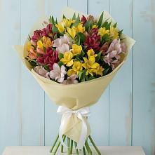 Букет цветов из:  Альстромерии #REPLACE_PRED# Хохряки
