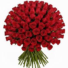 Букет Красные розы Чери Лав в Хохряки